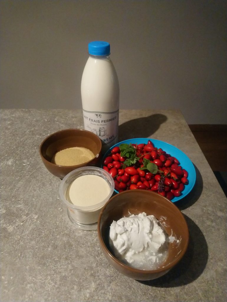 Les ingrédients de la recette de cuisine du cynorrhodon, le reconnaître.